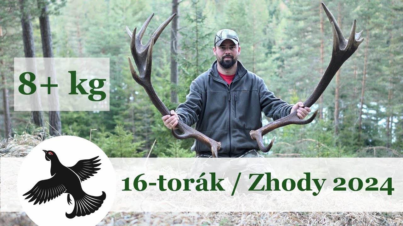 Zhody 2024 - pára 16-toráka / Zrzuty 2024 para 16-staka...