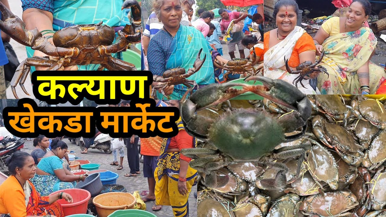 कल्याणमधील सर्वात मोठा खेकडा मार्केट 🦀 | खेकड्यांचा🦀 खजिना🦀😱 | Kalyan Khekada Market | Crab Market