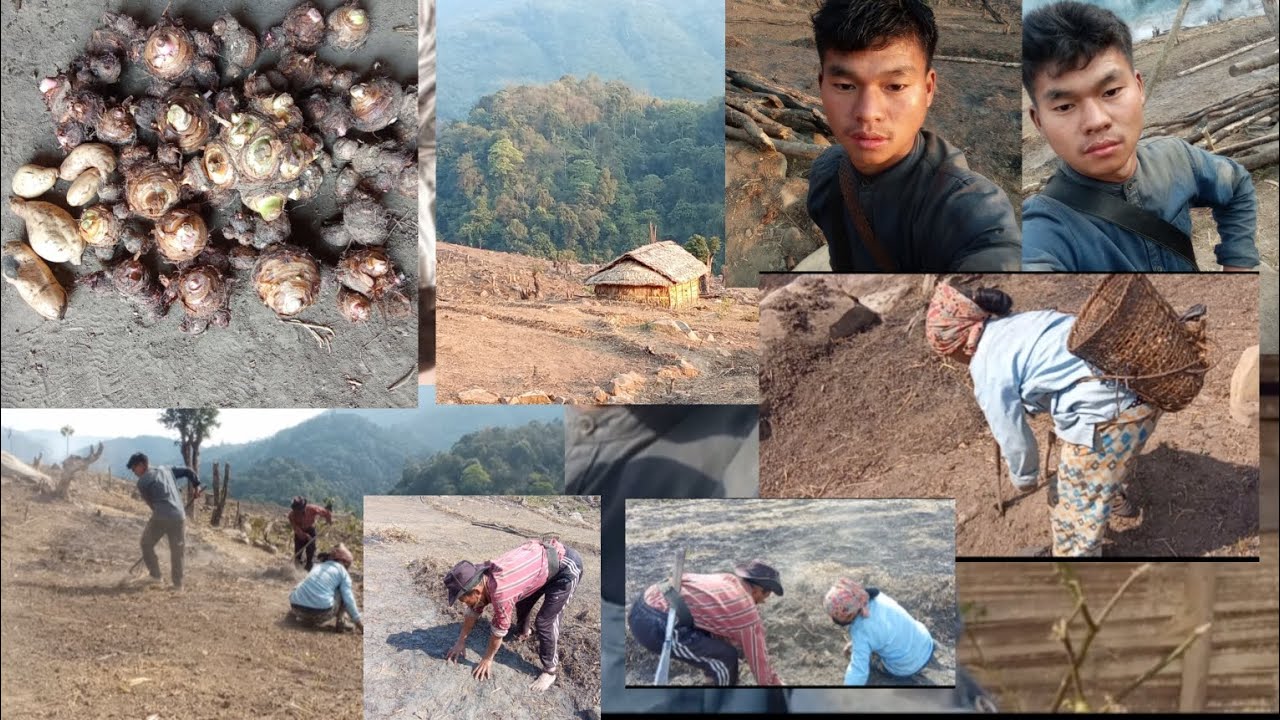 Working in the  feild me and my  mom dad 