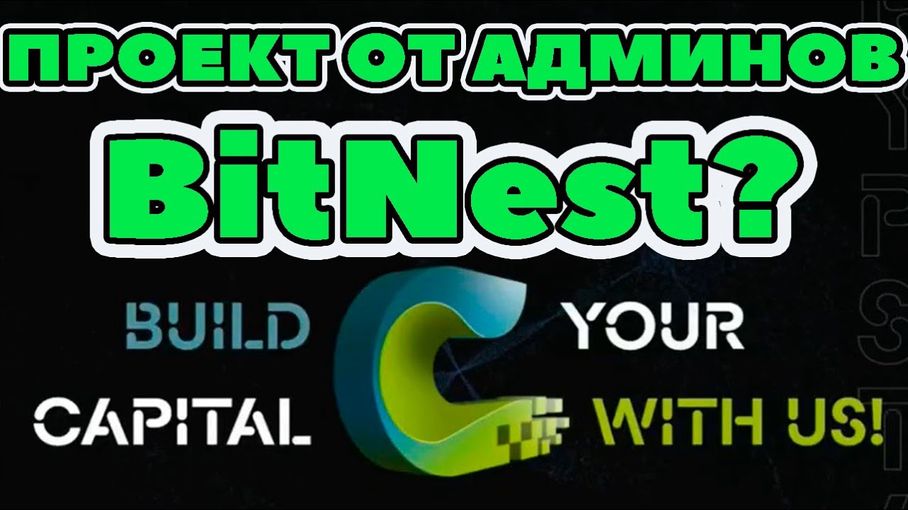 Cyrus Finance review: What are the Bitnest admins saying? New project registration