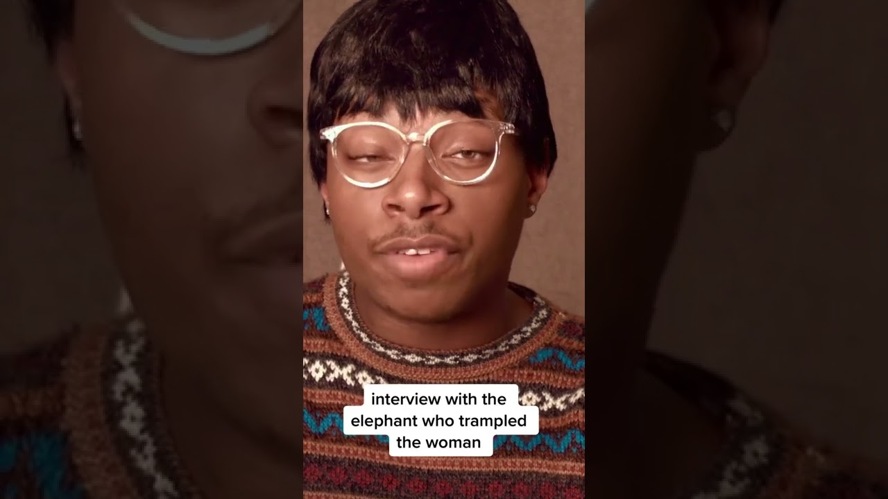 interview with the elephant who trampled the elderly woman in india tremelvin tiktok