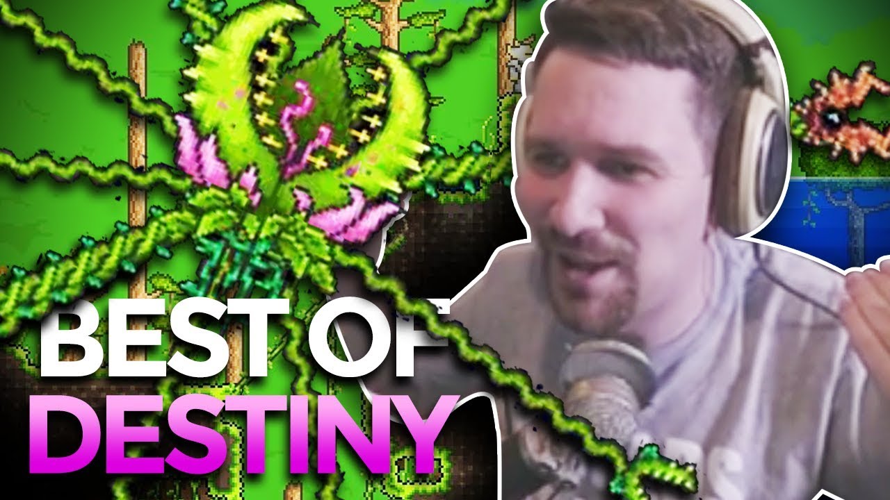 NATHAN IS COMING, HIDE THE MEMES - BEST OF DESTINY #5