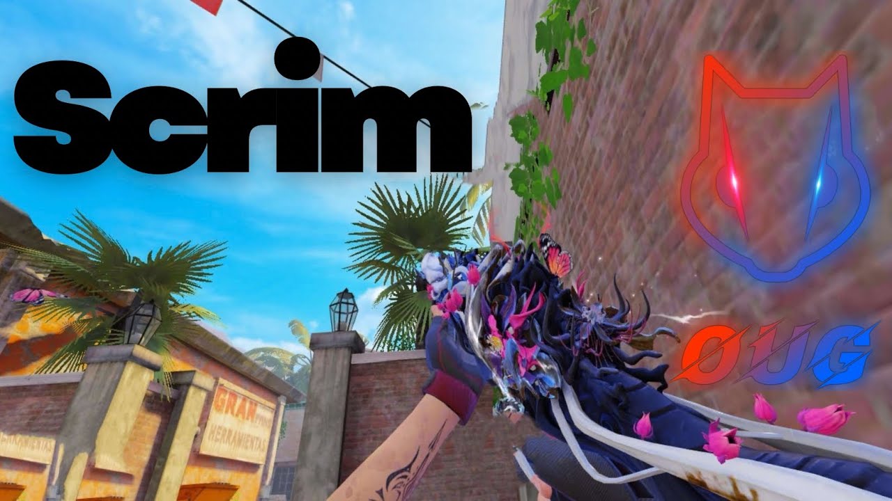 PRO SCRIM VS OUG 