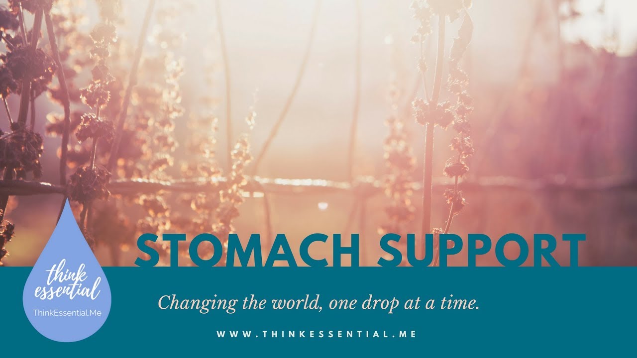 Stomach Support