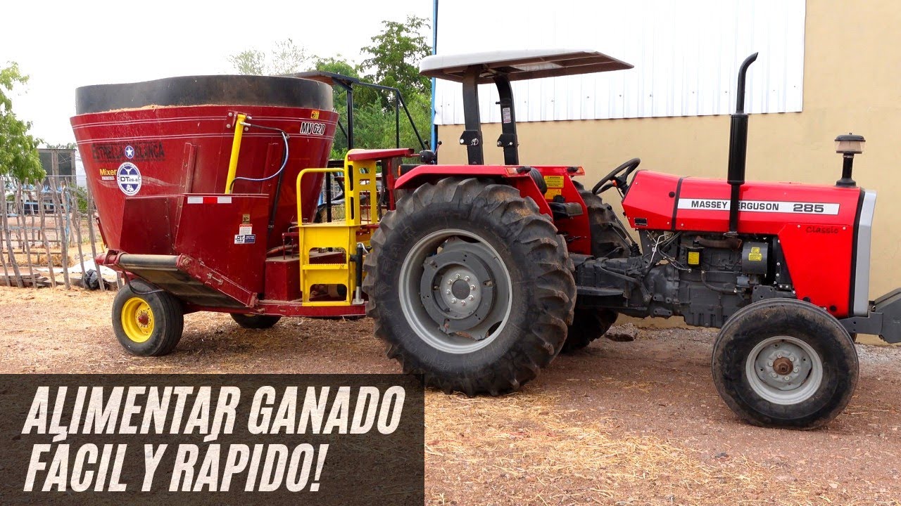 Revolvedora y trituradora de alimentos para ganado con Massey Ferguson  285