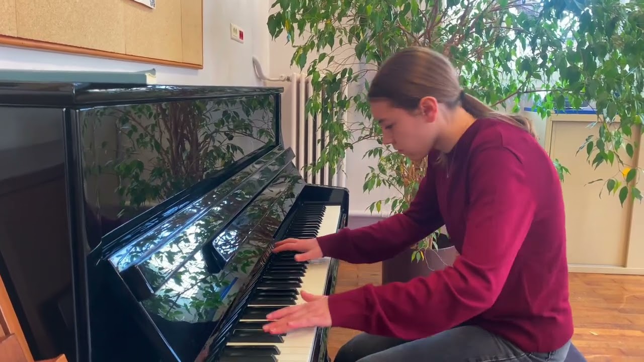 F.Chopin - Valse op.64 n.2