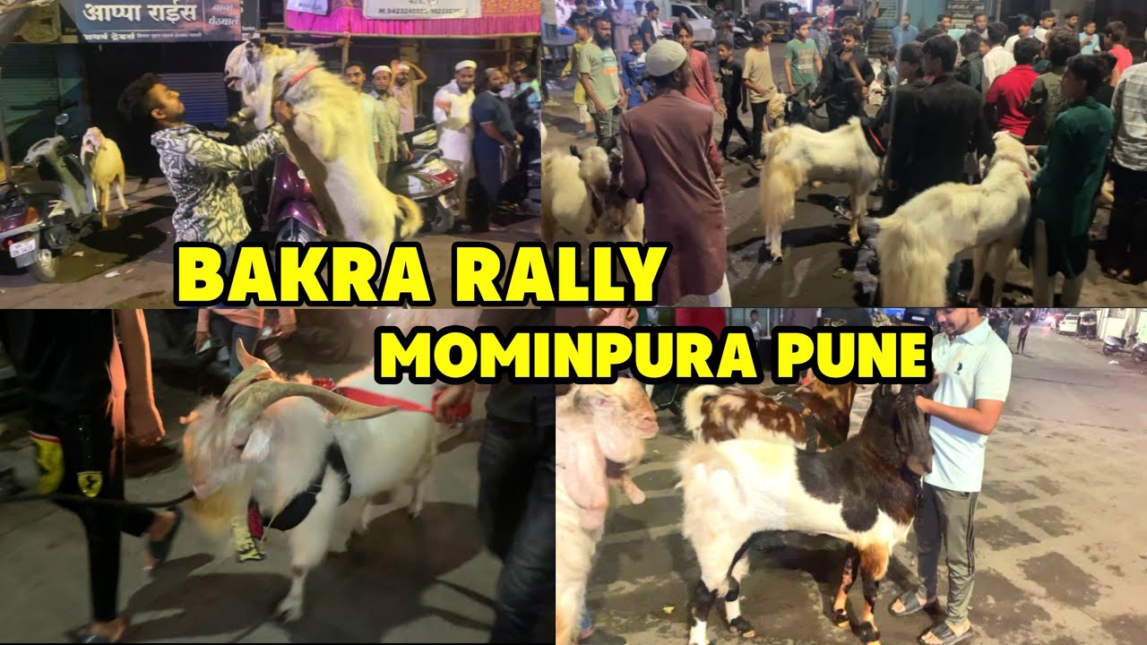 Bakra Eid last day Bakra Rally Mominpura 2025 || Kaif mahedvi vlogs