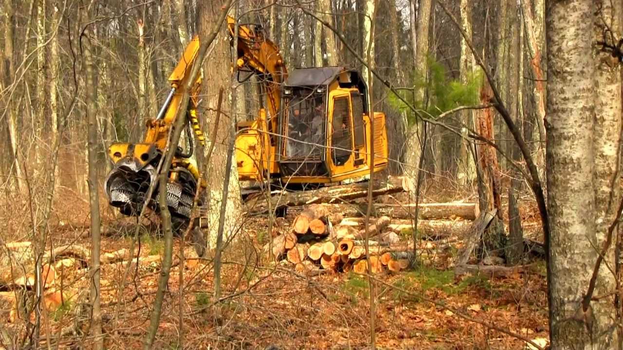 Fixed-Head Harvester in Action