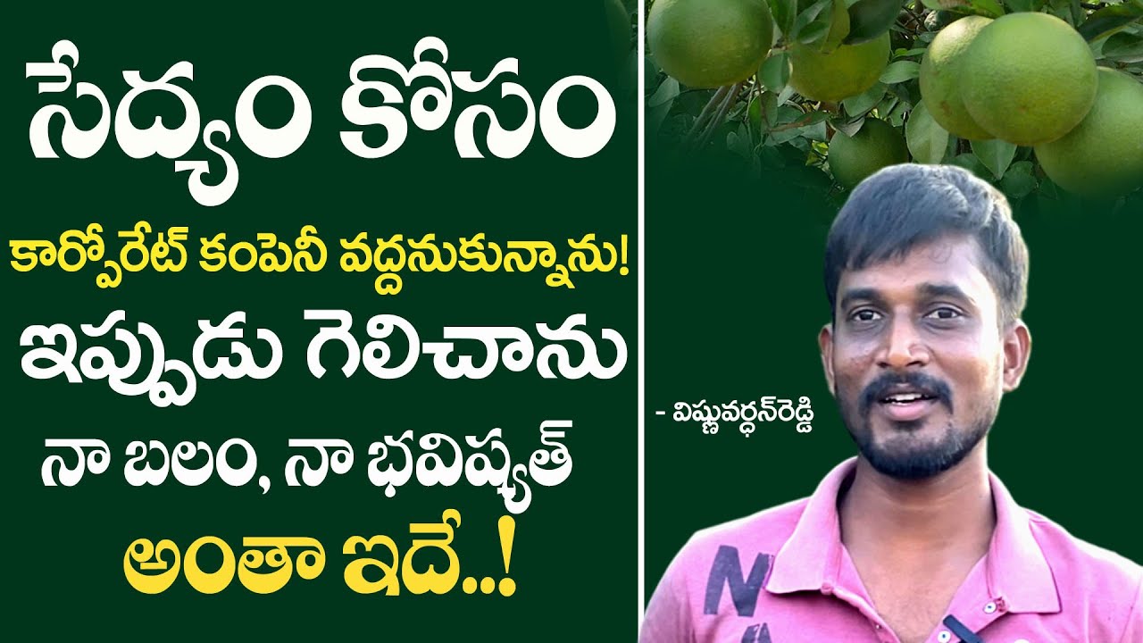 E259 | యువతకు రోల్ మోడల్ - 24 ఏళ్లలో, 16 ఏళ్ల వ్యవసాయ అనుభవం |#gramabazaar | 94912 78836