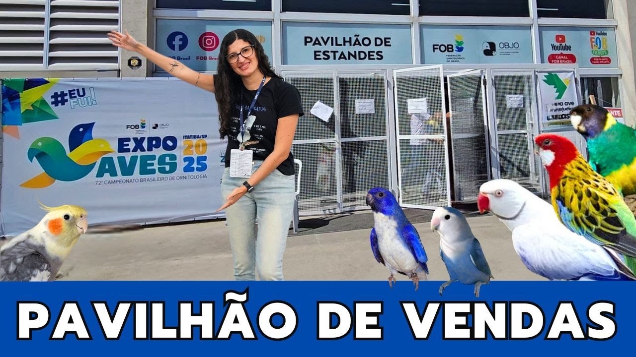 PREÇOS das AVES na EXPO AVES 2025 | FOB