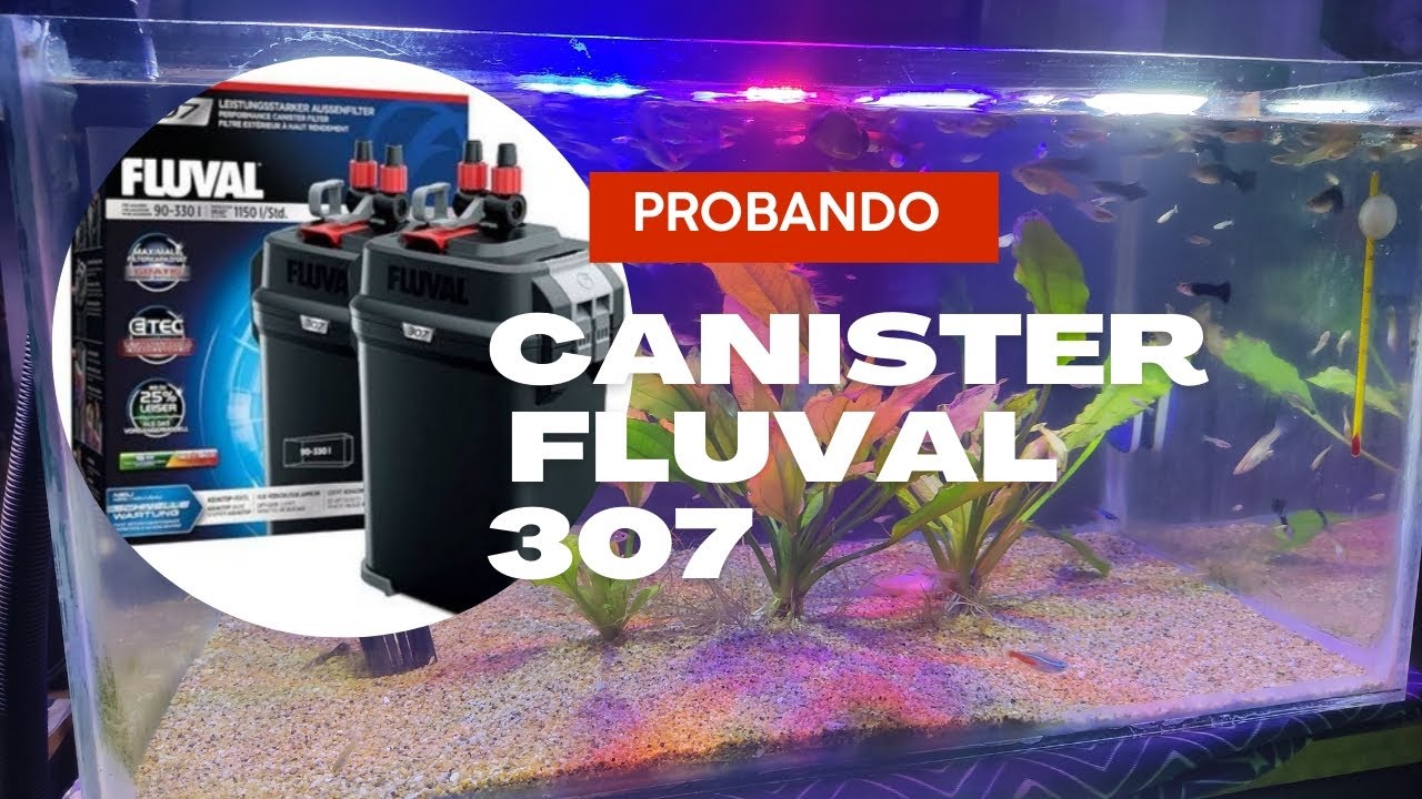 Unboxing #13 l Fluval 307 ¡¡INCREIBLE!!😉