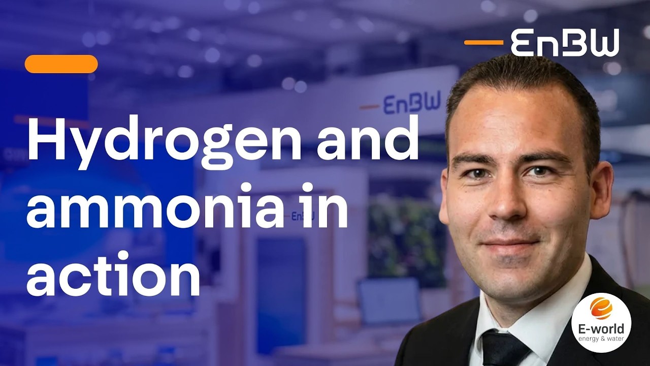 Hydrogen and ammonia in action: Energy security and decarbonization through imported green ammonia