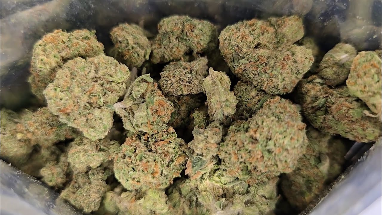 THCA Small Buds | Lemon Cr&eacute;me Review | THCA Nation