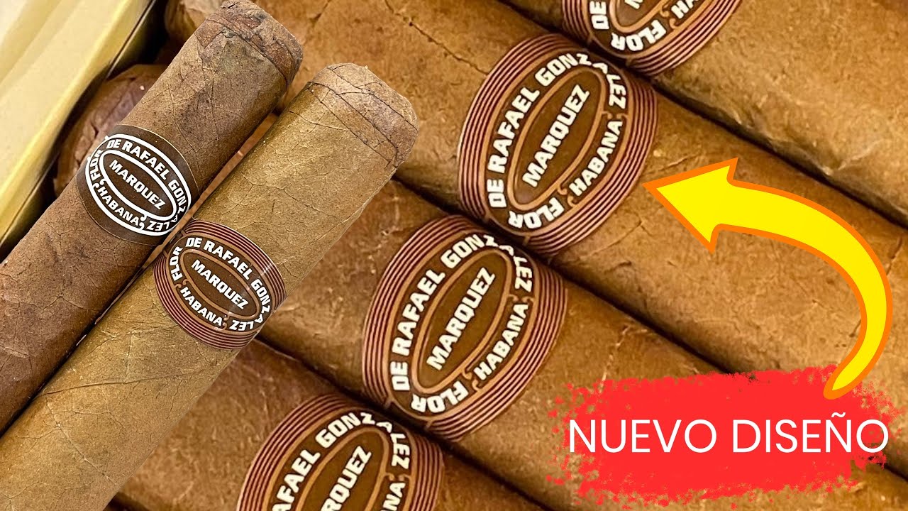 Nuevo Diseño Anilla / Puro Habano Rafael González Marquez / Reseña Rafael González Petit Coronas 🔥