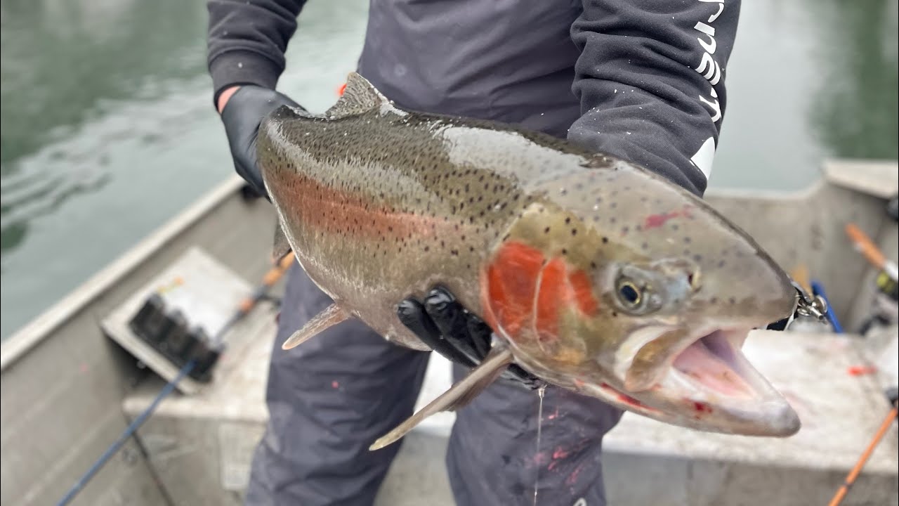 Idaho Steel - Clearwater River Steelhead - Ep. 2
