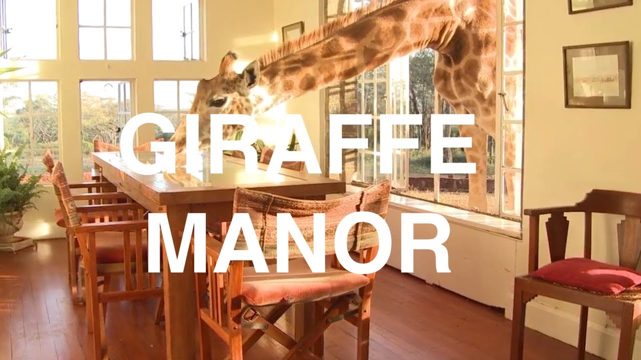 KENYA GIRAFFE MANOR