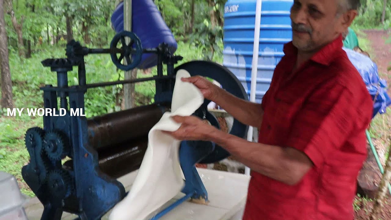 റബ്ബർ വെട്ടുന്നത് കണ്ടിട്ടുണ്ടോ|Rubber tapping method in kerala