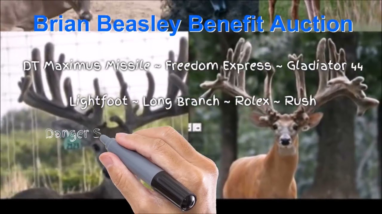 Benefit For Brian Beasley