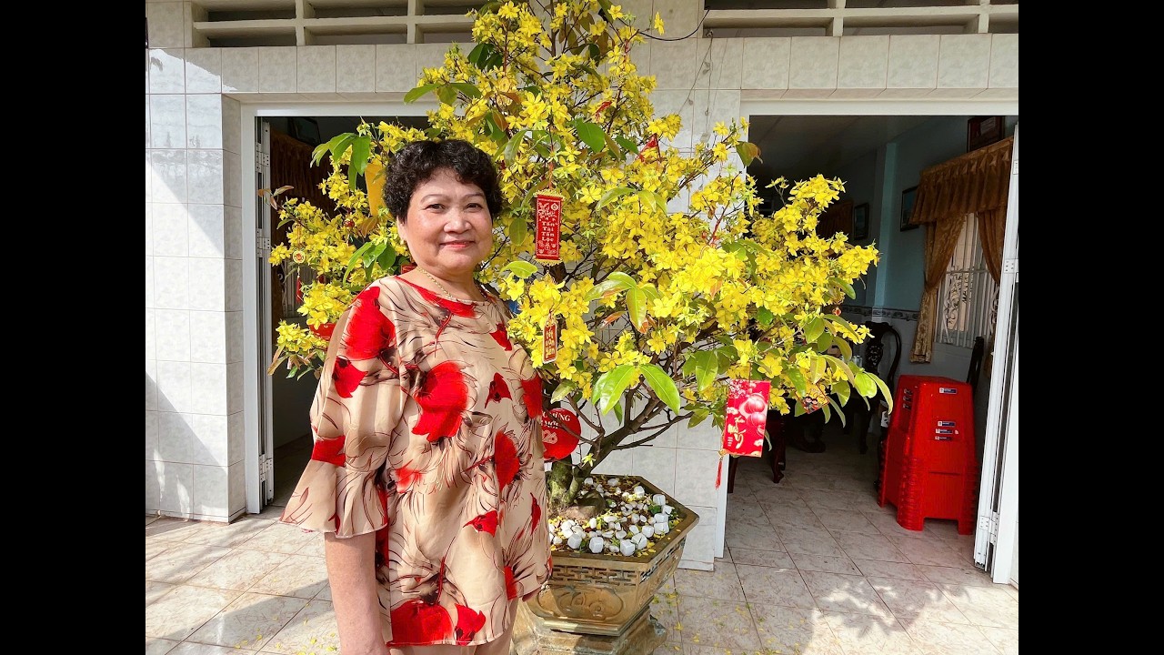 Mẹ Vy 2026
