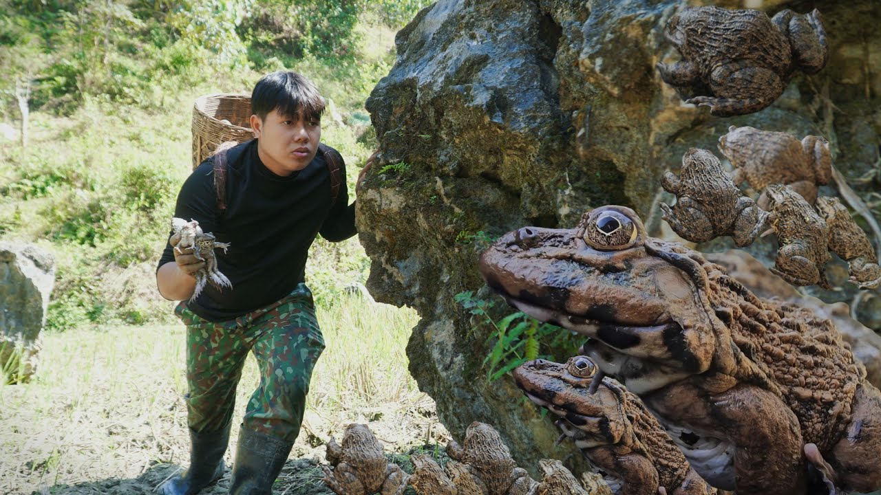 Daily Life in the Wild: Finding a Giant Frog Nest and Harvesting Frogs to Sell