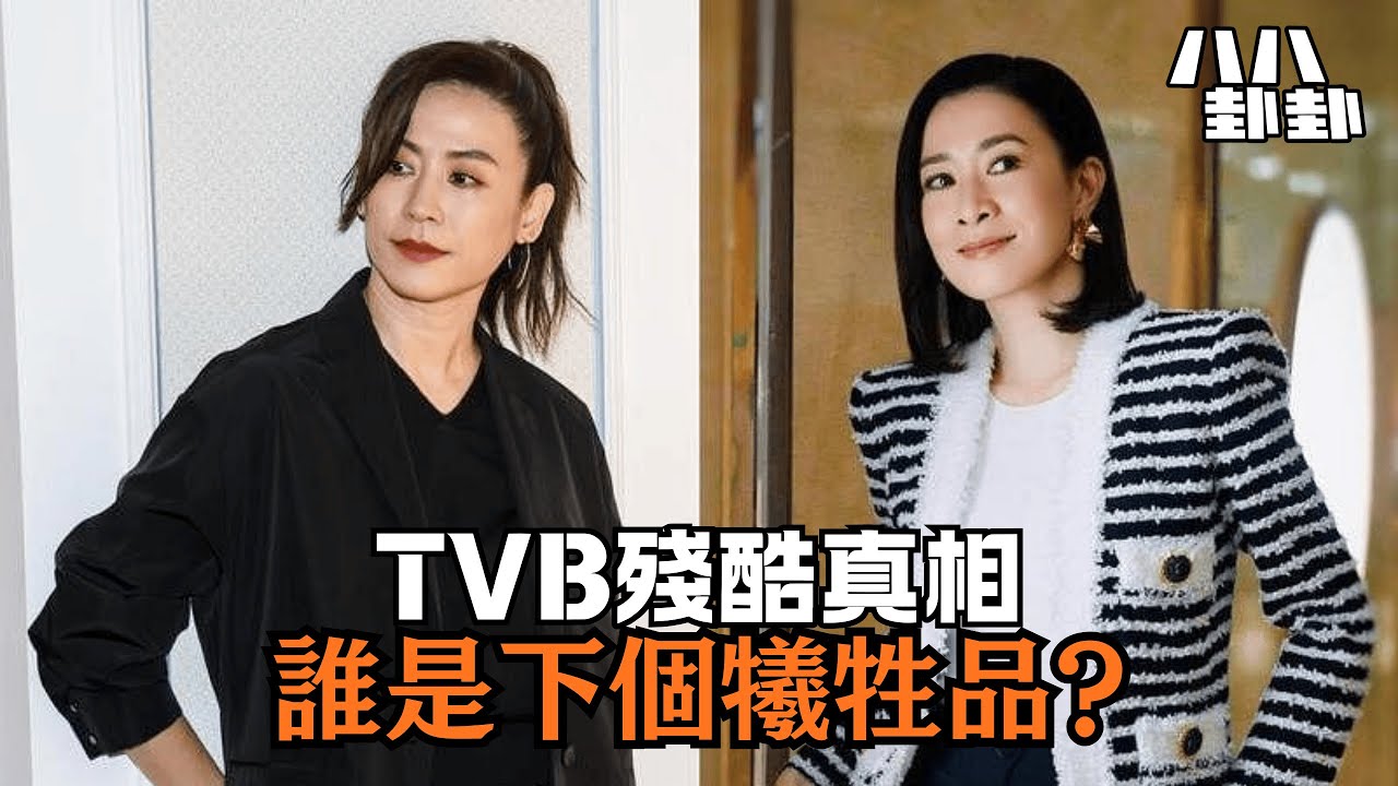 TVB為「錢」犧牲宣萱？佘詩曼封后背後，我看到最殘酷的真相！｜八八卦卦