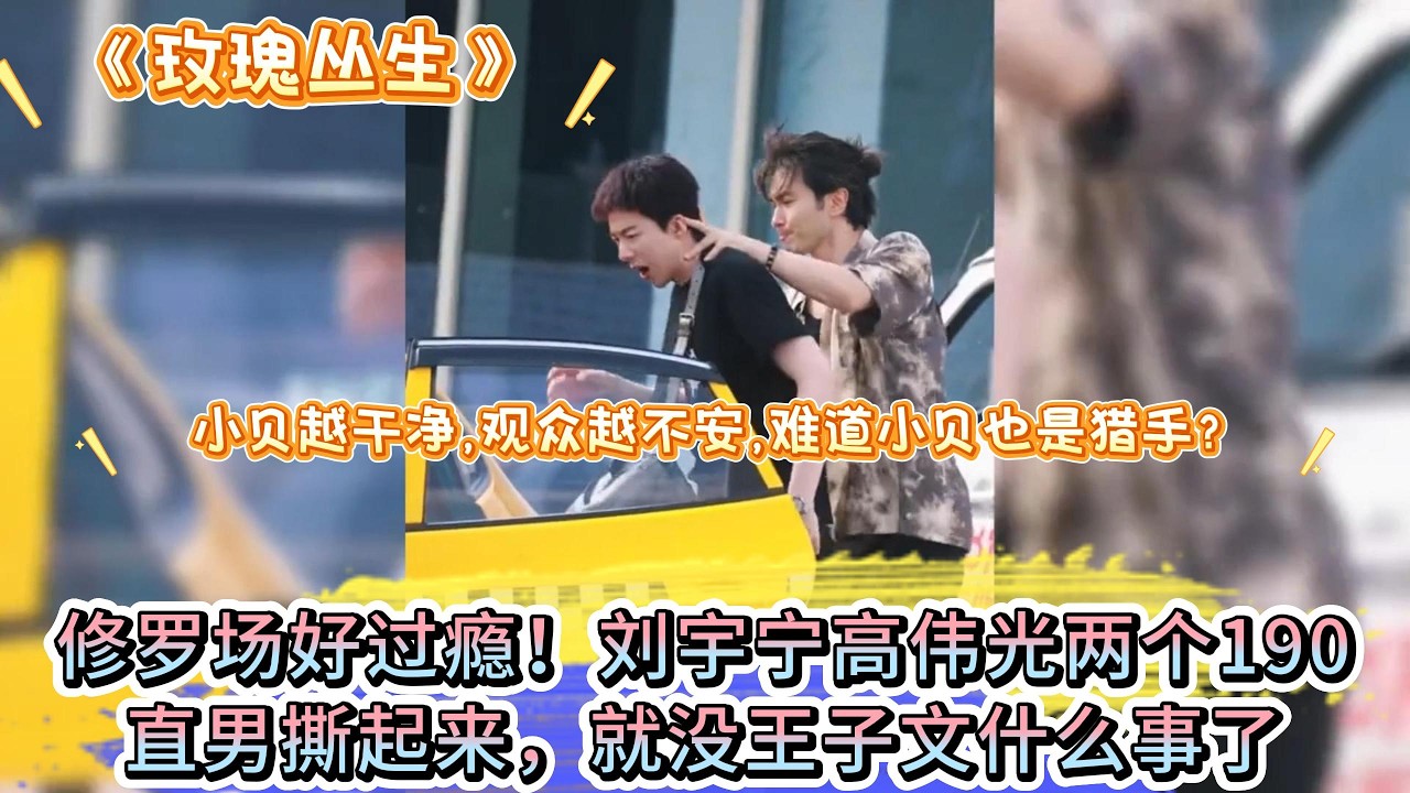 《玫瑰叢生》修羅場好過癮！劉宇寧高偉光兩個190直男撕起來，就沒王子文什麼事了 #王子文 #刘宇宁#高伟光