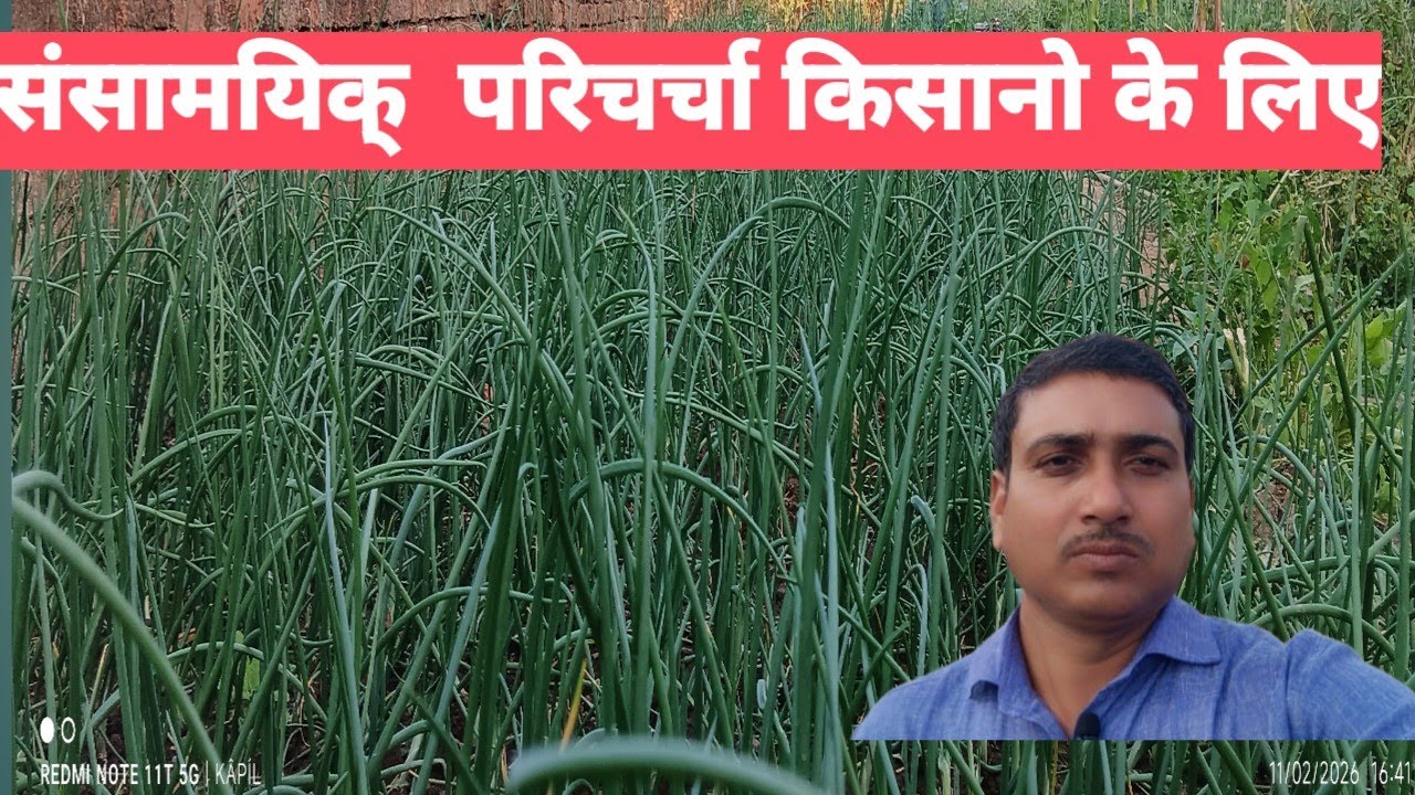 गर्मी वाली सब्जी