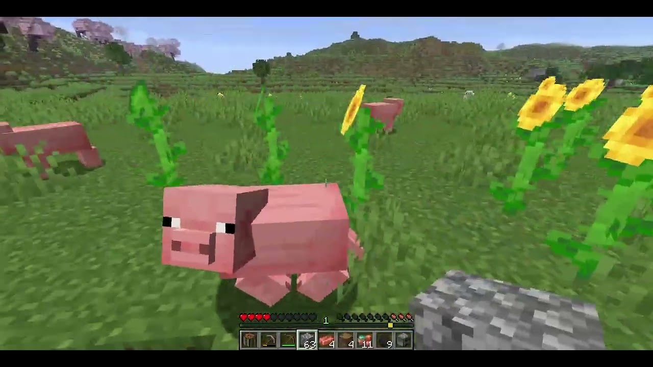 SERIE MINECRAFT EP 1
