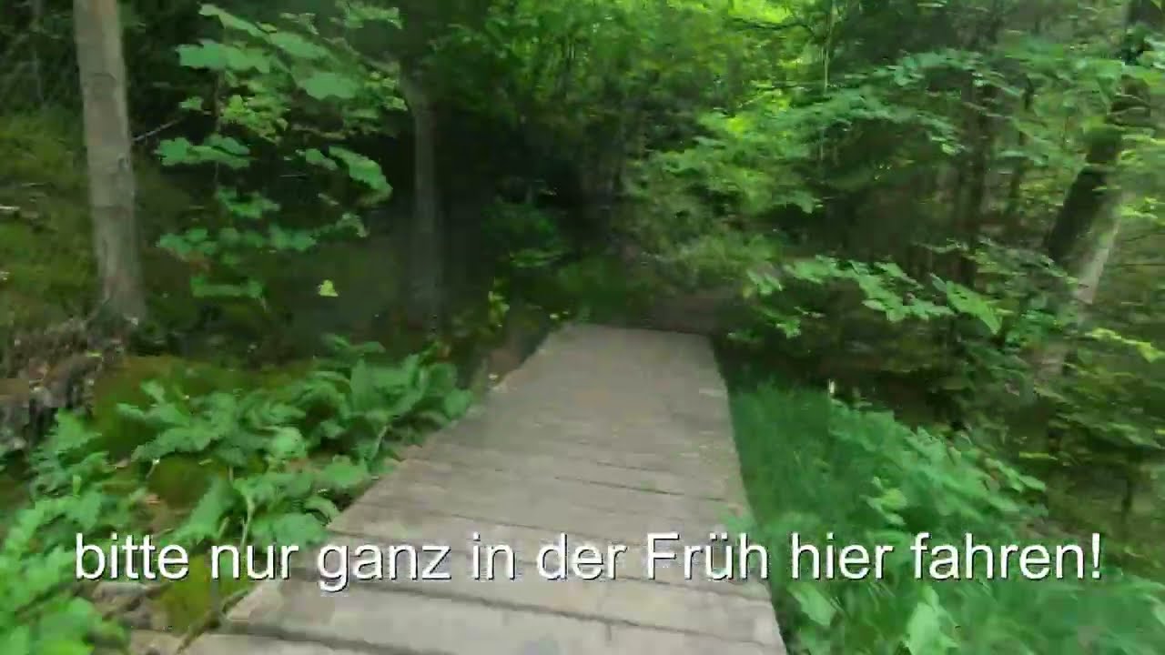 E-MTB 01.06.25 Straßlach nach Grünwald - Isar Trails