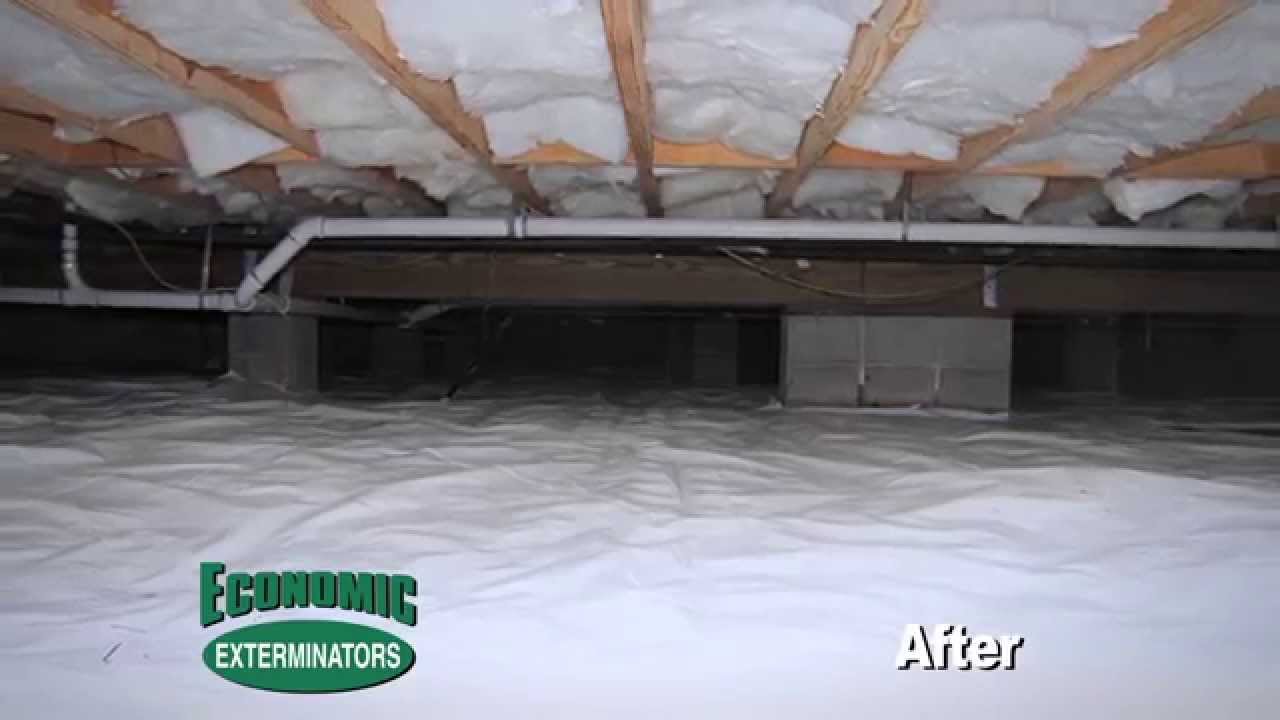 Economic Exterminators - Rid Your Crawl Space Of Bugs
