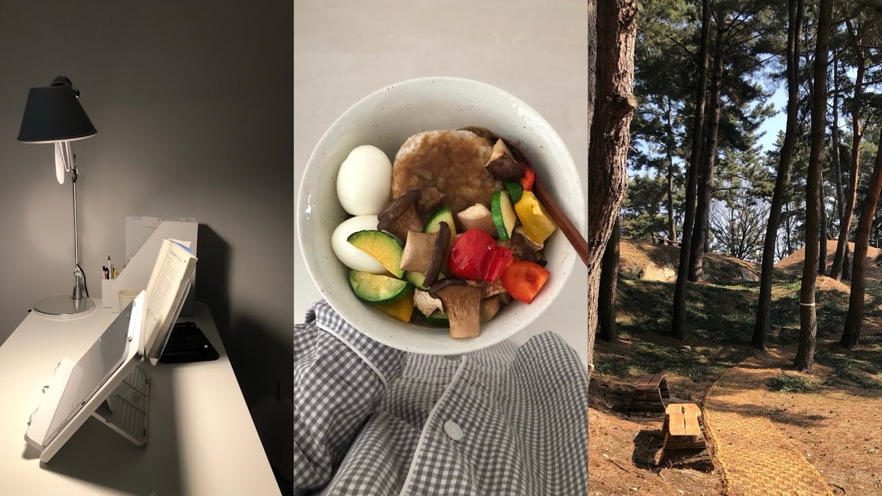 공부를 곁들인 겨울방학 vlog ᐢ._.ᐢ♡ ༘