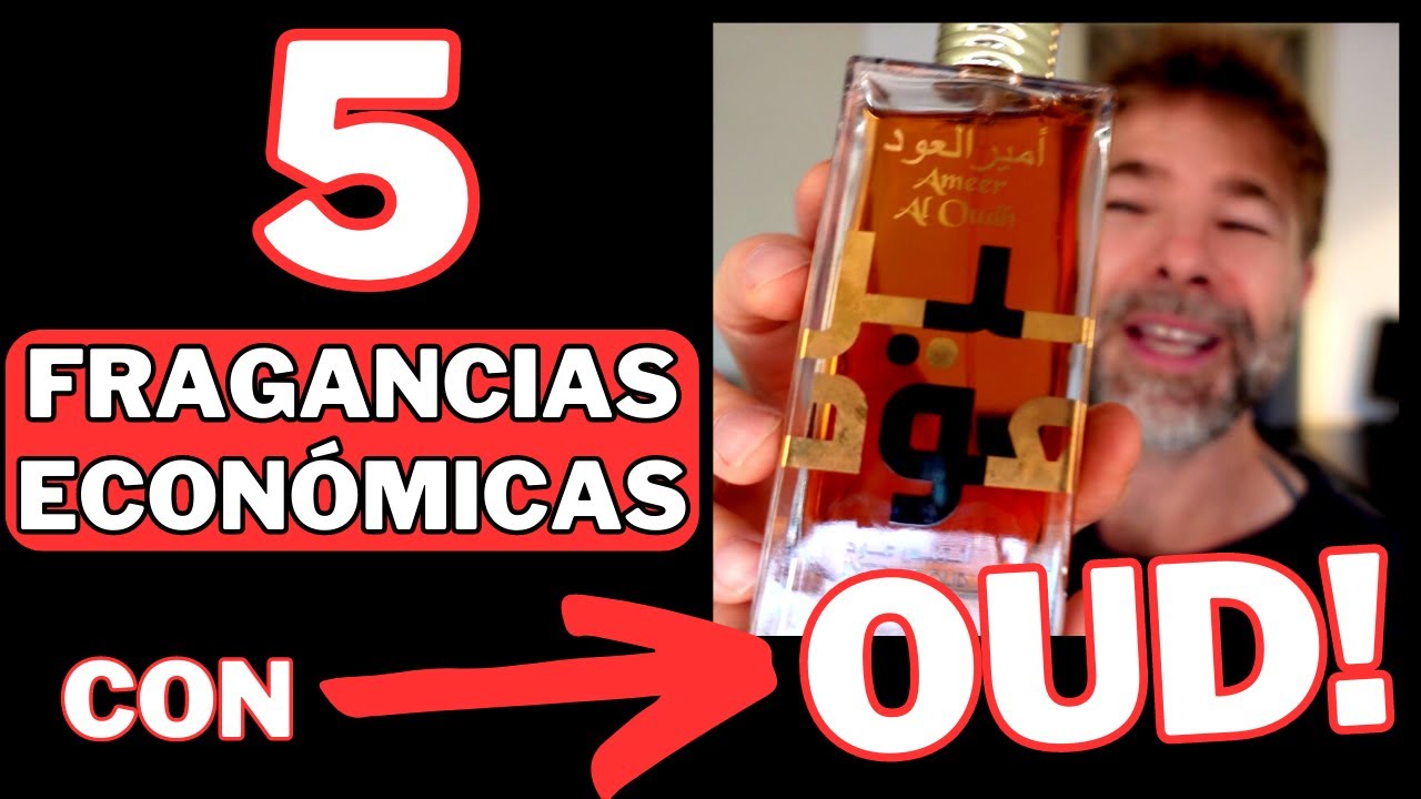 ¡5 FRAGANCIAS ECONÓMICAS con OUD que huelen a PERFUMES CAROS! 💥