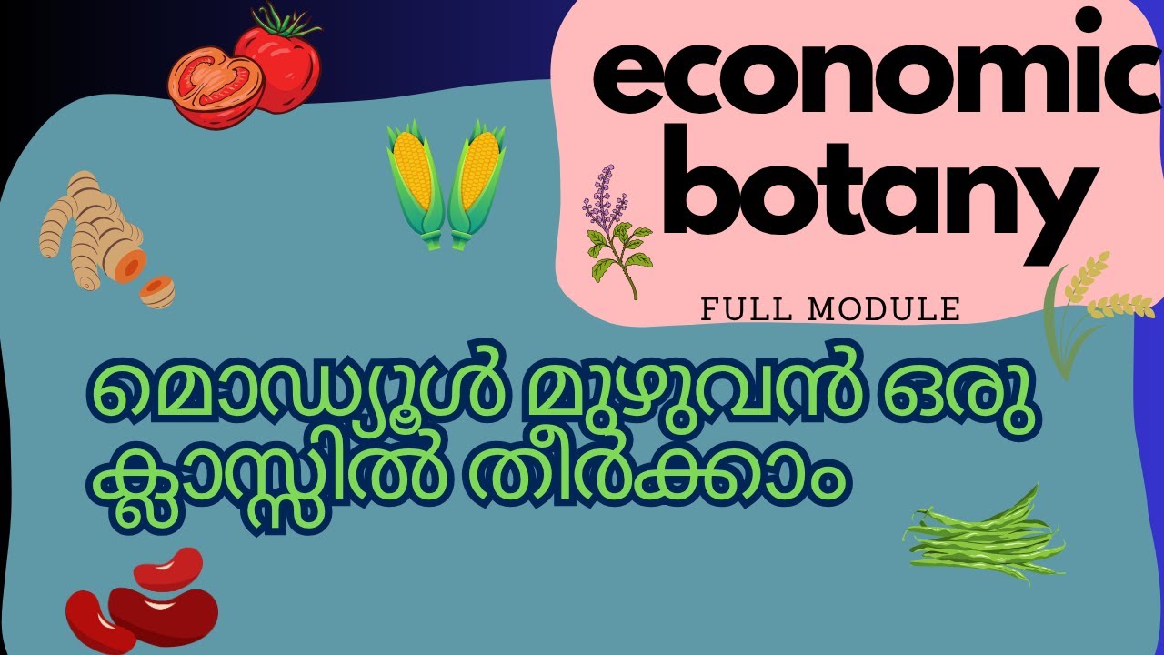Economic Botany Full Module in 15 minutes✅| SET EXAM|