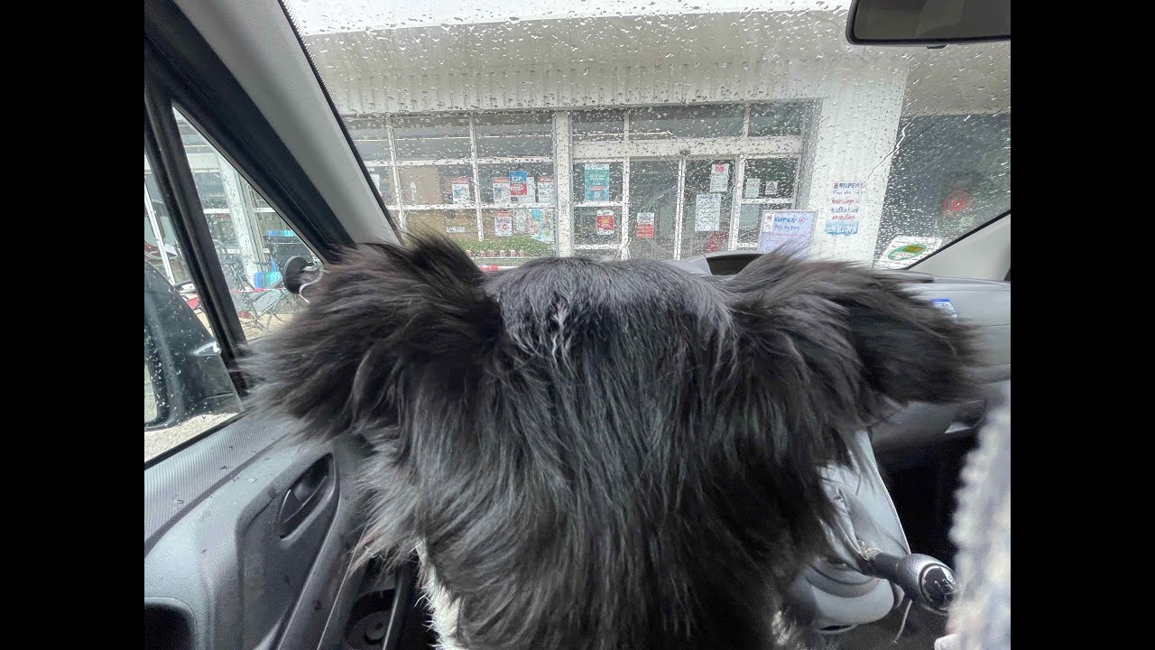 Georges en route: #YOUBE sur au DIX ANS #CHIEN-FOU
