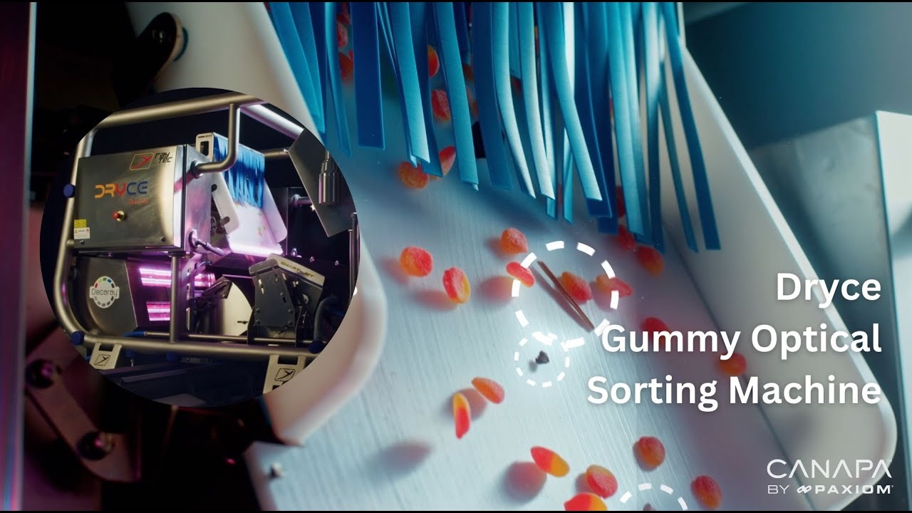 RayTec Dryce Optical Sorting Machine for CBD or Infused Gummies