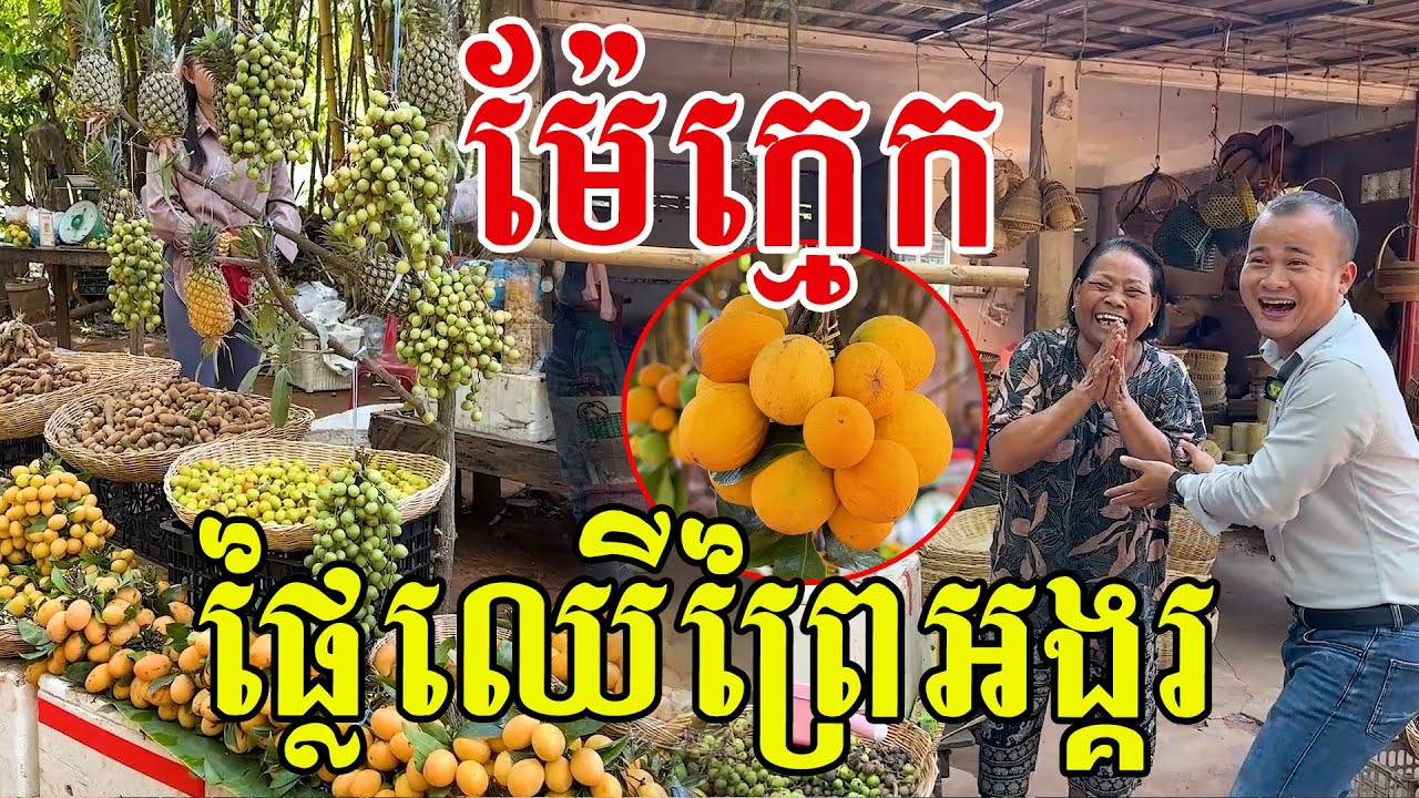 ម៉ែក្មេក​លក់​ផ្លៃឈេីព្រៃអង្គរ​ ដល់ខែហូរទឹកមាត់ទៀតហើយបងប្អូន