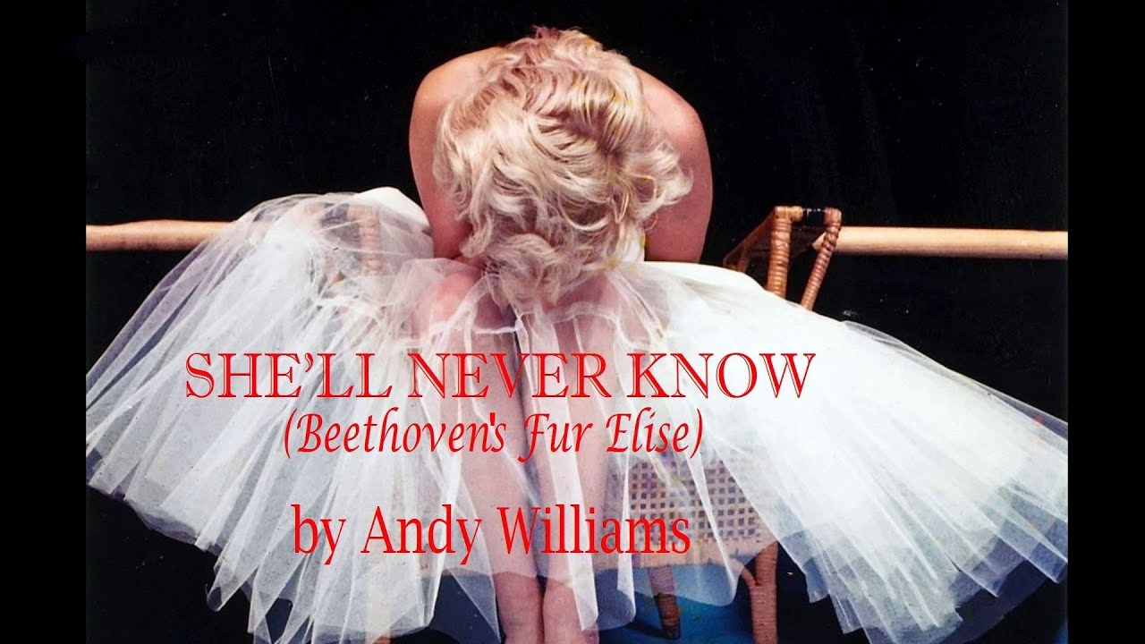SHE'LL NEVER KNOW 2 (Based on Beethoven's Fur Elise)  -  The Original song by  Andy Williams