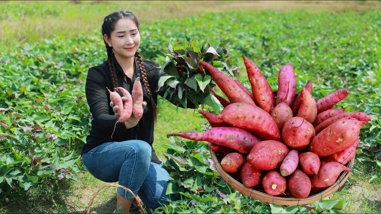Haver you ever cook Potato leaves in your place? Bring Potatoes and Leaves home for 2 recipes