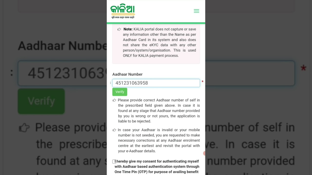 Kalia Yojana E Kyc| Kalia Yojana kyc kemiti kariba |Kalia ekyc| Ekyc Kalia Yojana|Kalia Yojana KYC