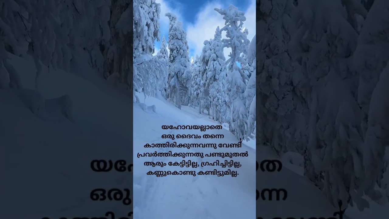 MALAYALAM ||HOLY MESSAGE || #trustinthelordwithallyourheartholymessagesubscribe #biblemessage #love