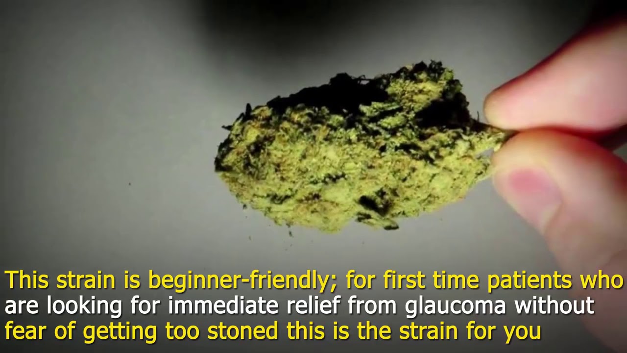 5 Cannabis Strains to Try for Glaucoma