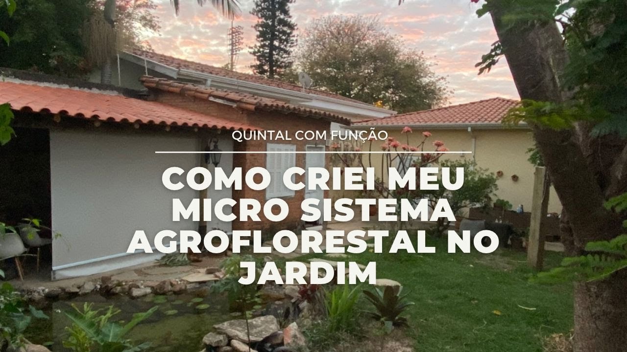 Como criei minha 