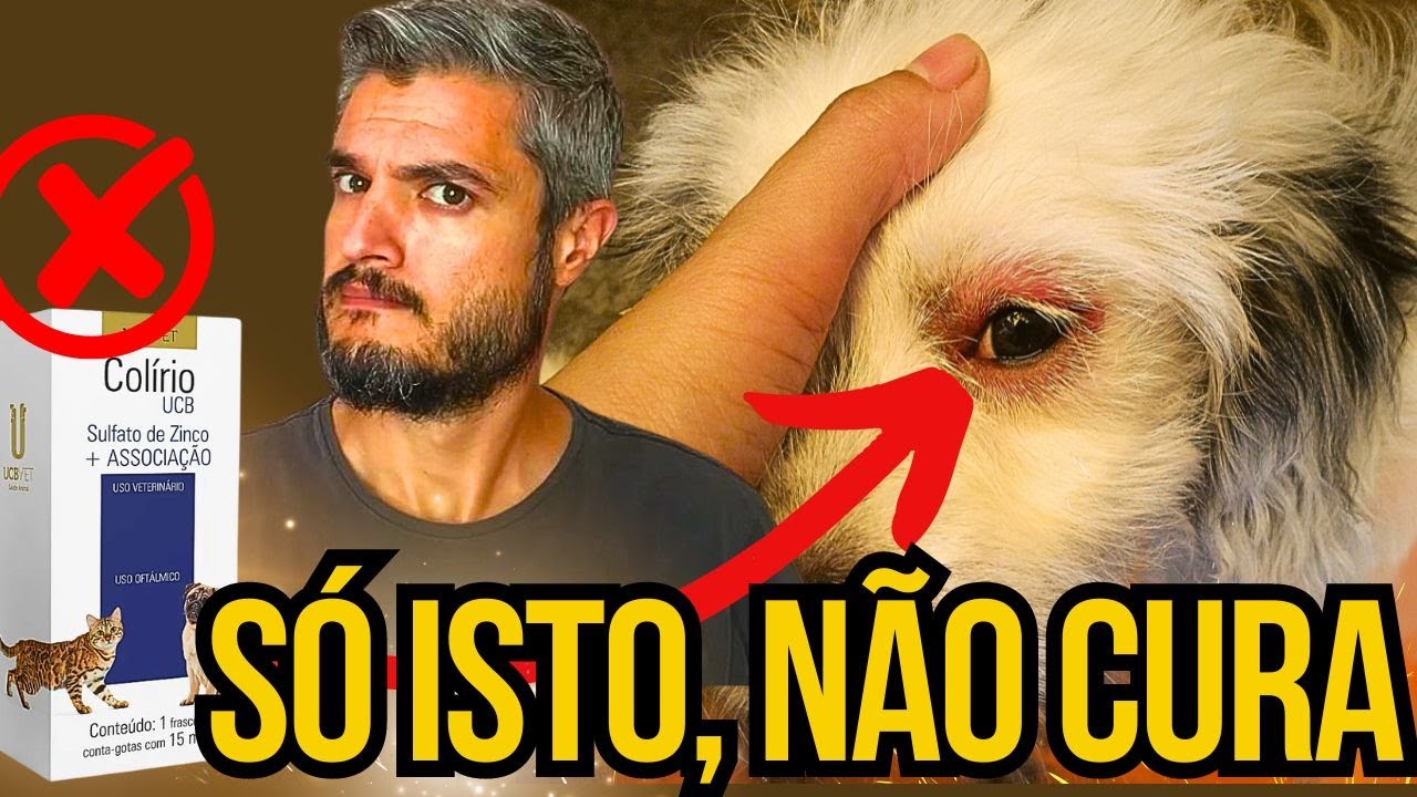 CACHORRO C/ REMELA NOS OLHOS COMO TIRAR SECREÇÃO OLHO CÃO COLÍRIO CASEIRO REMÉDIO BARATO CURA VISÃO