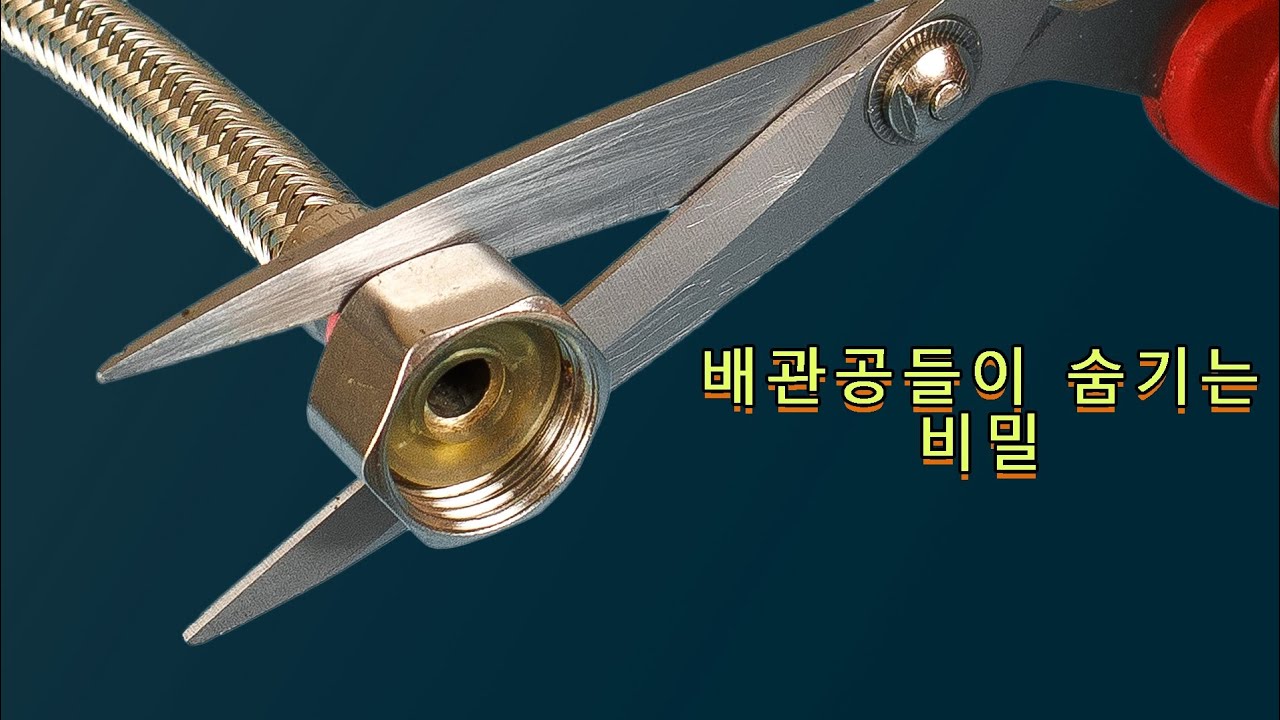 배관공들이 숨기는 비밀: 더 일찍 알지 못해 후회해요