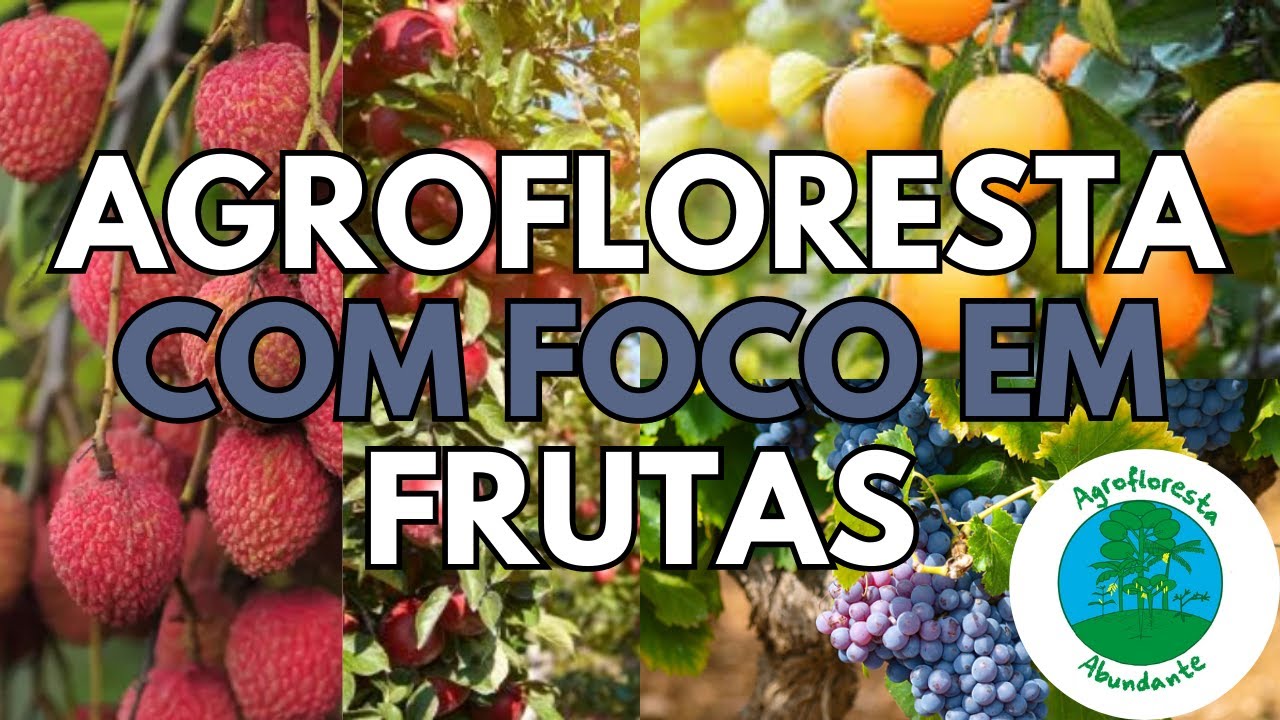Agrofloresta com Foco em Frutas - Sistemas Agroflorestais com Frutíferas