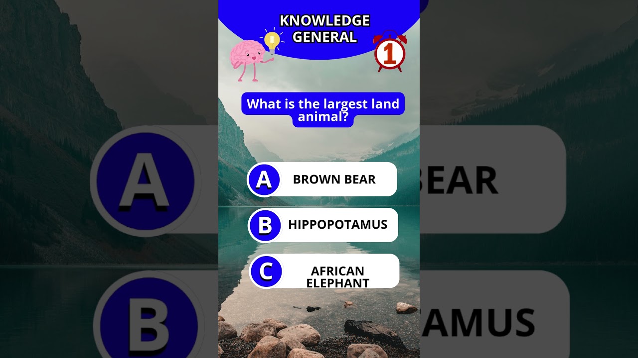 #EnglishQuiz #TriviaTime #QuizGame #FunQuestions #GeneralKnowledge #EnglishSpeaking #UKTrivia#USQuiz