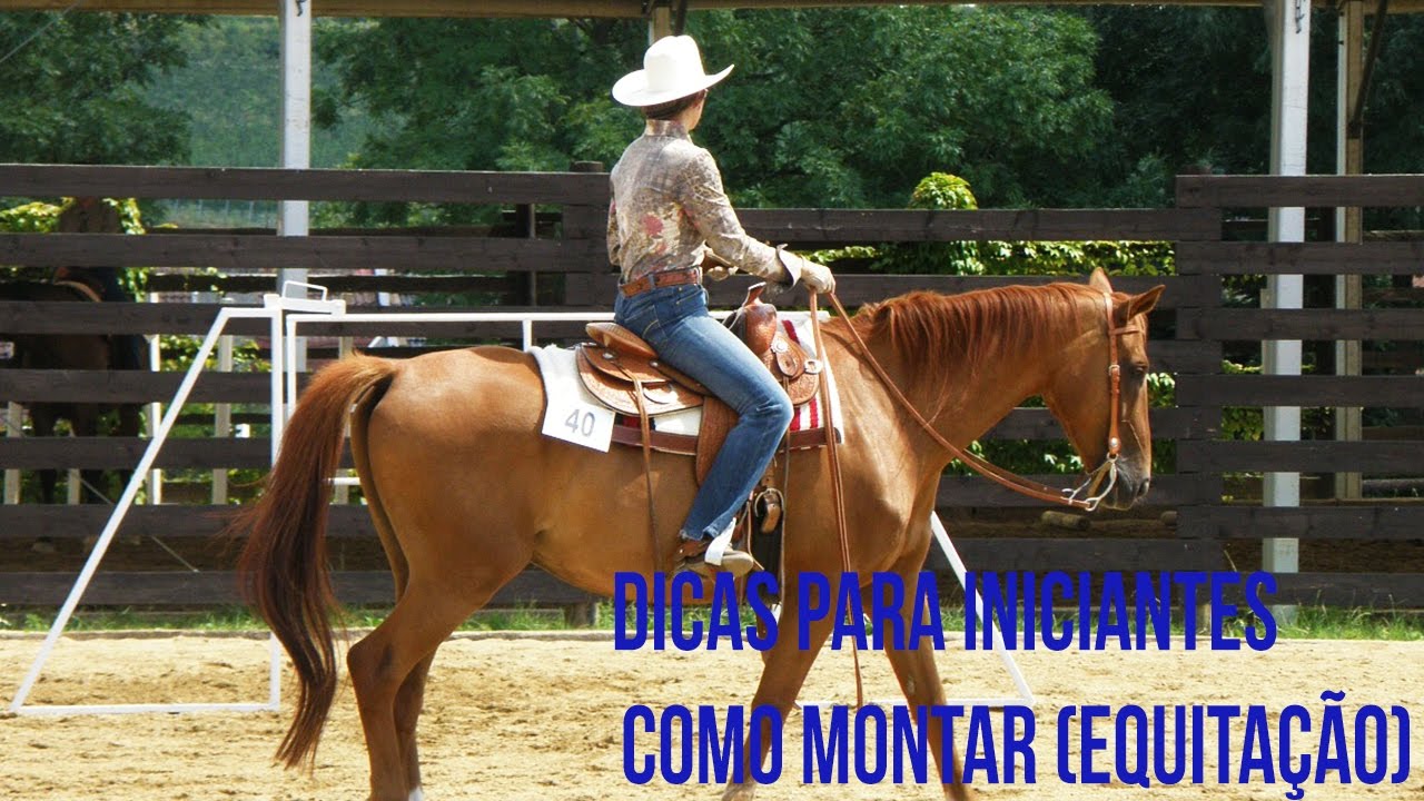 Dicas para Montar a Cavalo - Para iniciantes