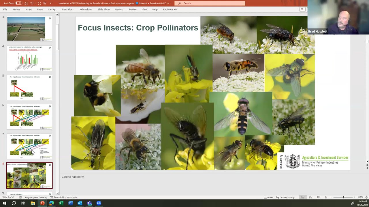 Beneficial insects in native plantings on farms