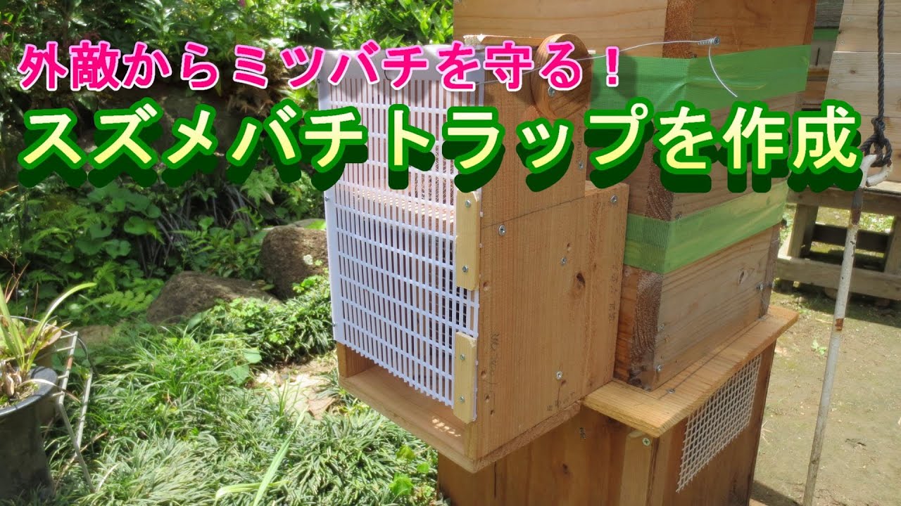 秋に多くなるスズメバチに備えて　スズメバチトラップを作成