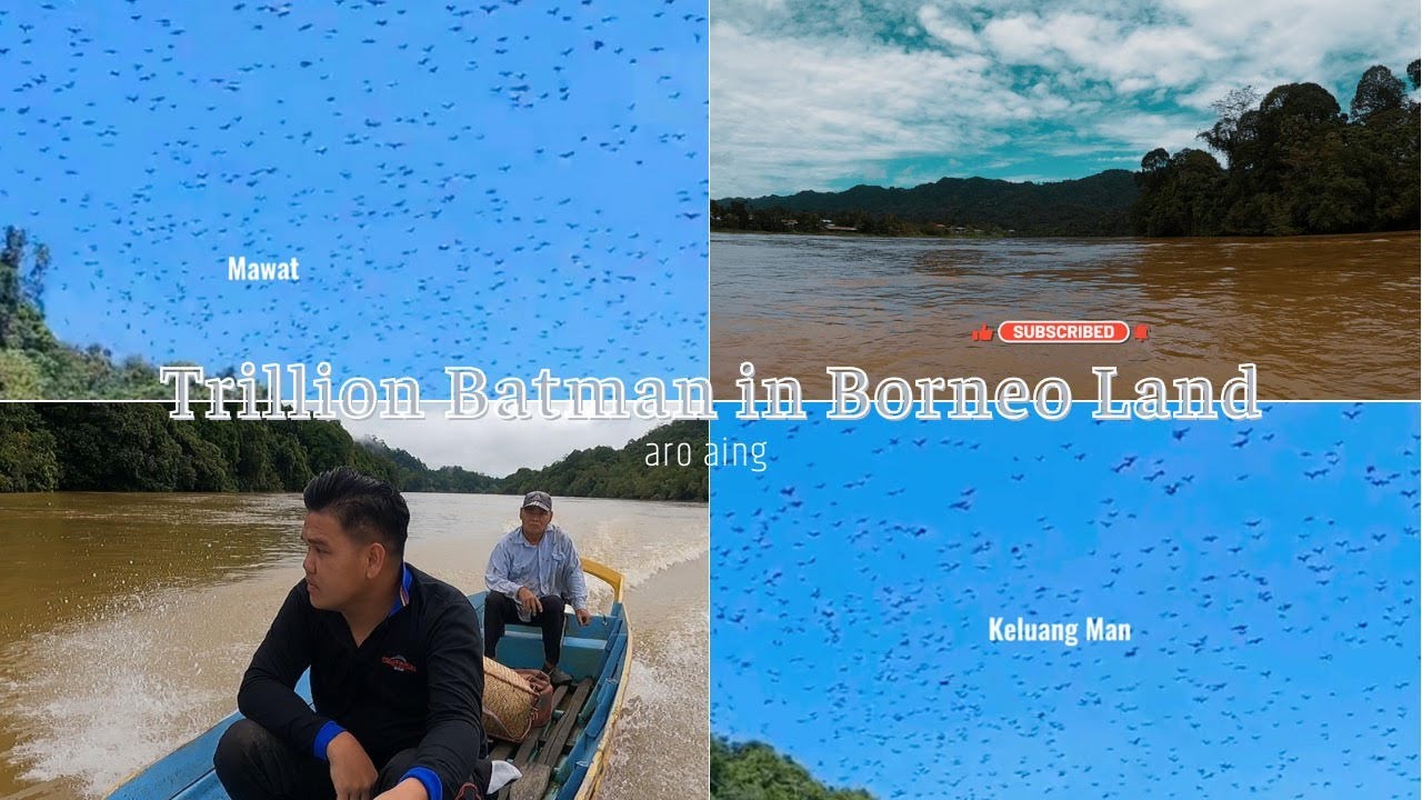 Jalan-jalan di Sungai Rejang Sarawak